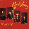 4 Non Blondes