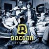 Racoon