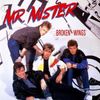 Mr. Mister